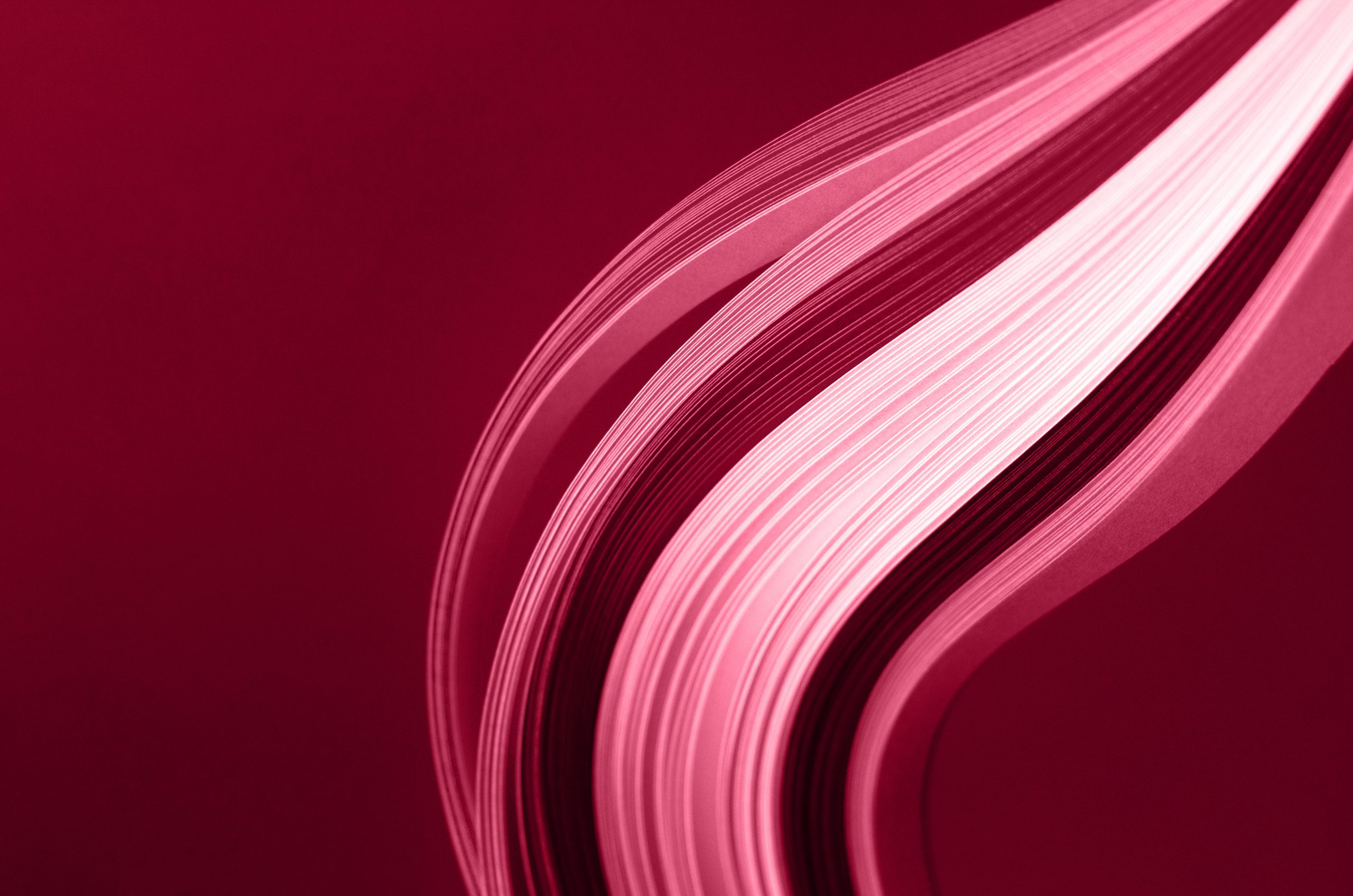 Abstract background with quilling paper. Color of 2023. Viva. Magenta.